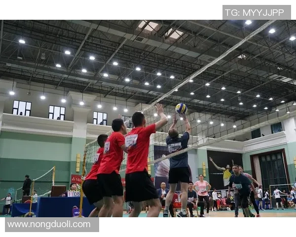 成都排球队区域防守创新之路探索与实践分析