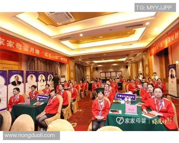 武汉排球队的蜕变之路：从传统强队到现代化竞技新标杆