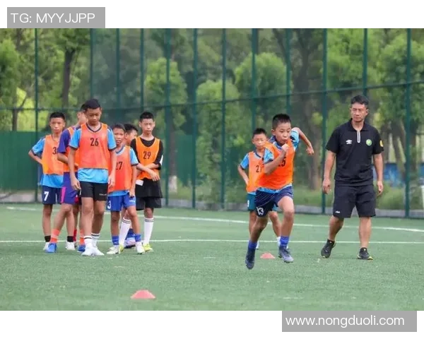 杭州足球队在精英赛中的心理素质分析与表现评估