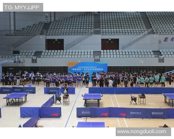 赛后分析：深圳乒乓球队与西安乒乓球队状态对比与表现总结